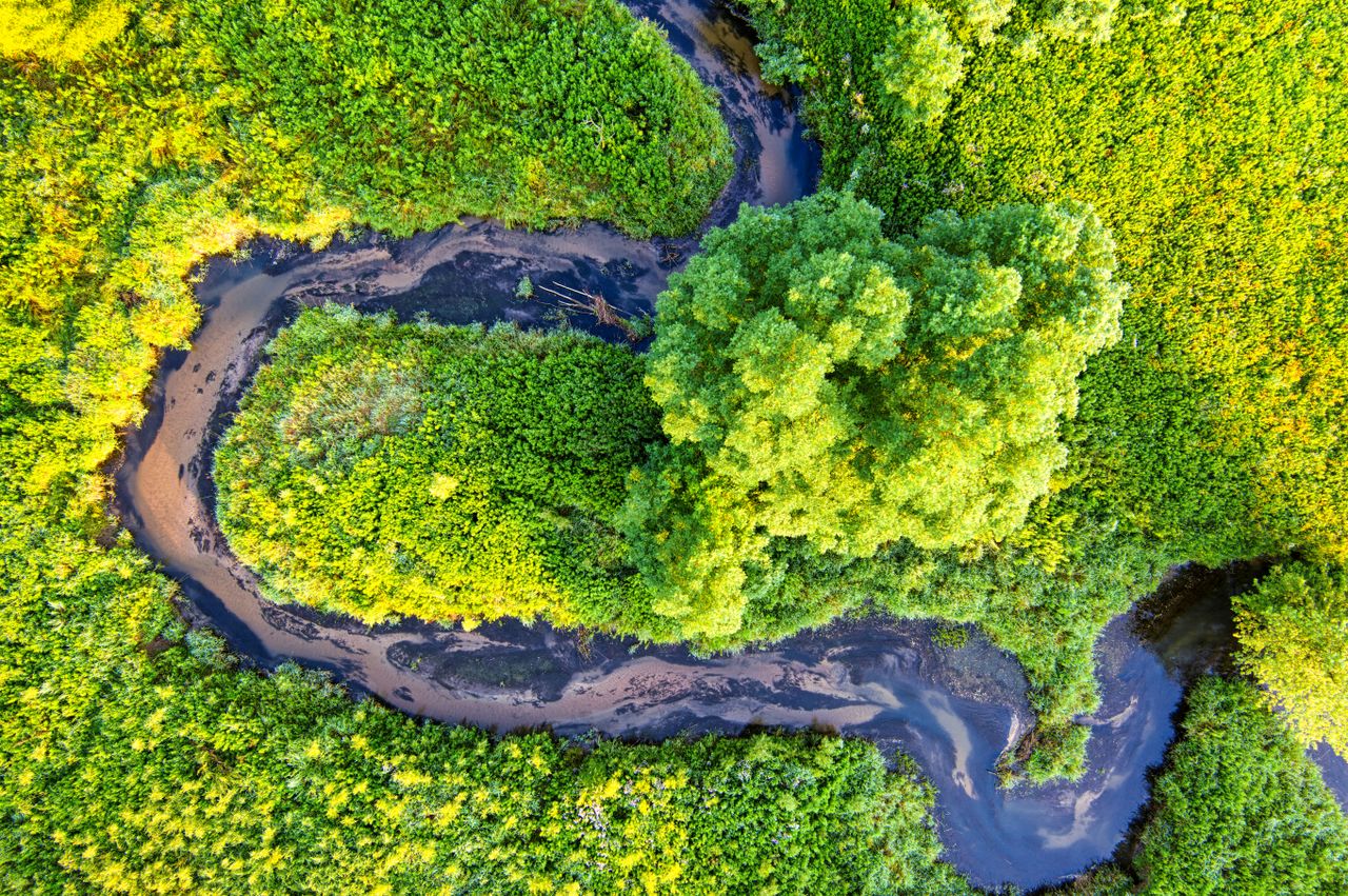 Home A stunning aerial view of a winding river surrounded by lush green forests in Minnesota.